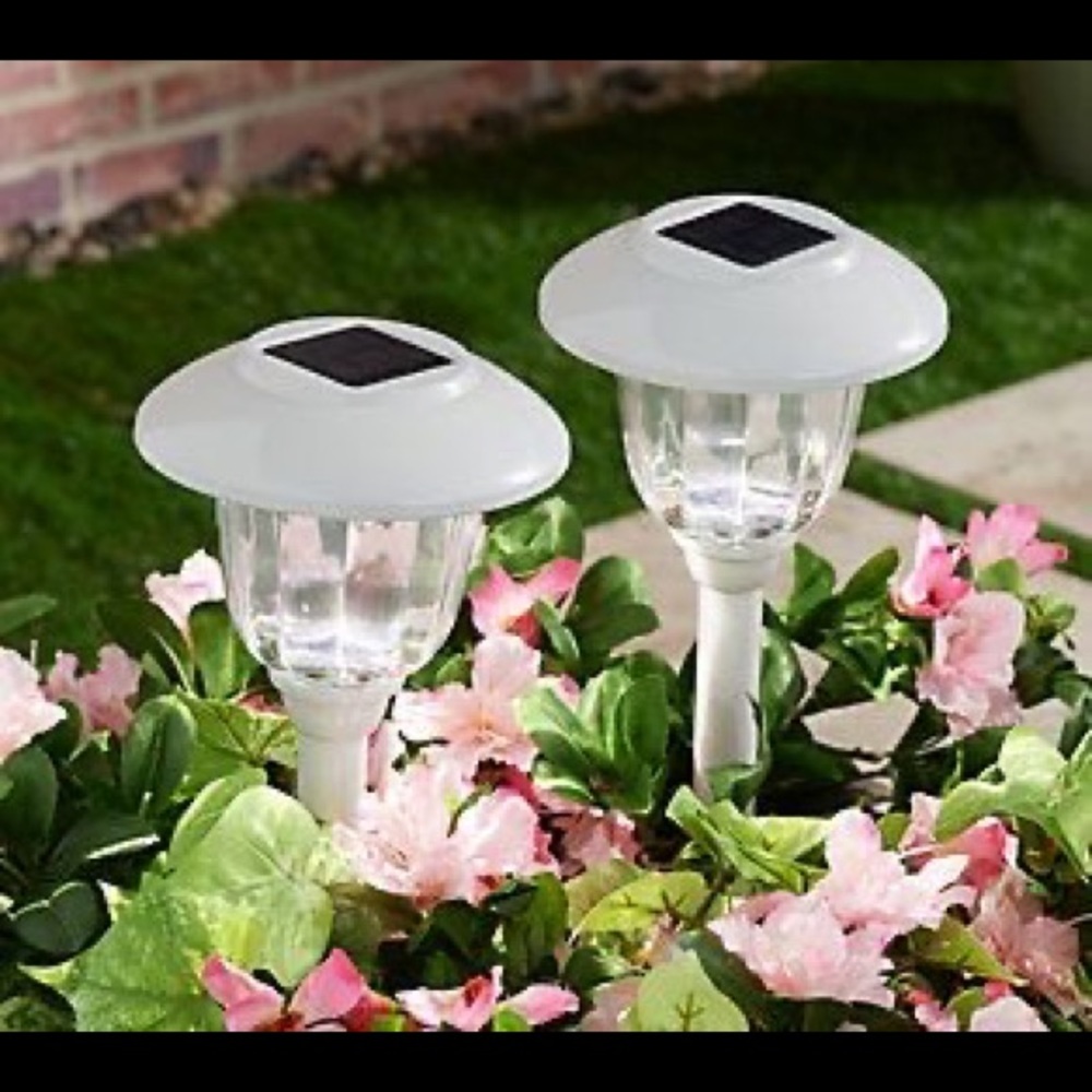 Energizer 12 Pack Solar Pathway Light Set 15-Lumen